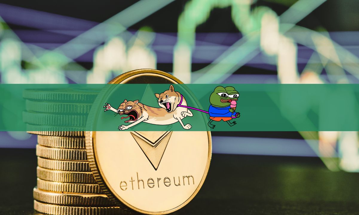 Dogwifcat-token-surges-over-4,000%-in-two-days-–-next-big-solana-meme-coin?