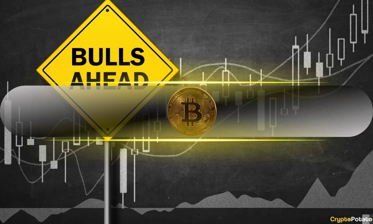 Bitcoin’s-15%-correction-propelled-by-profit-taking-but-bull-cycle-is-far-from-over:-cryptoquant