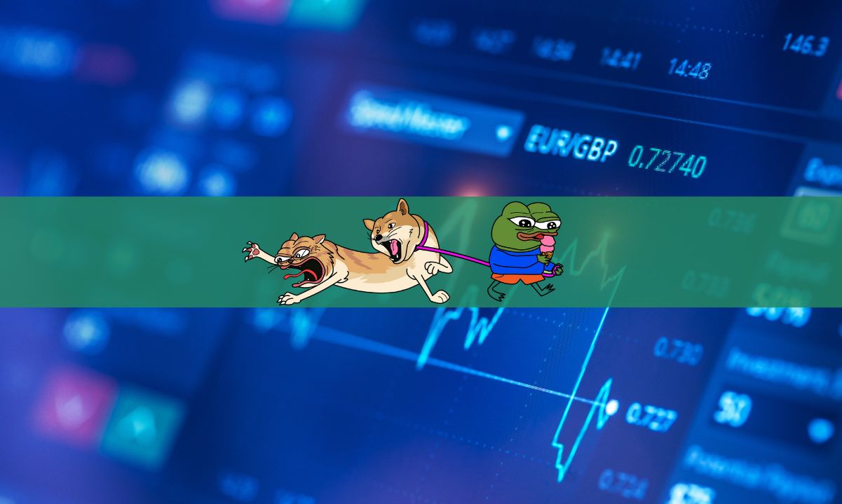 Dogwifhat-price-pumps-24%-as-newcomer-dogwifcat-makes-an-exciting-debut