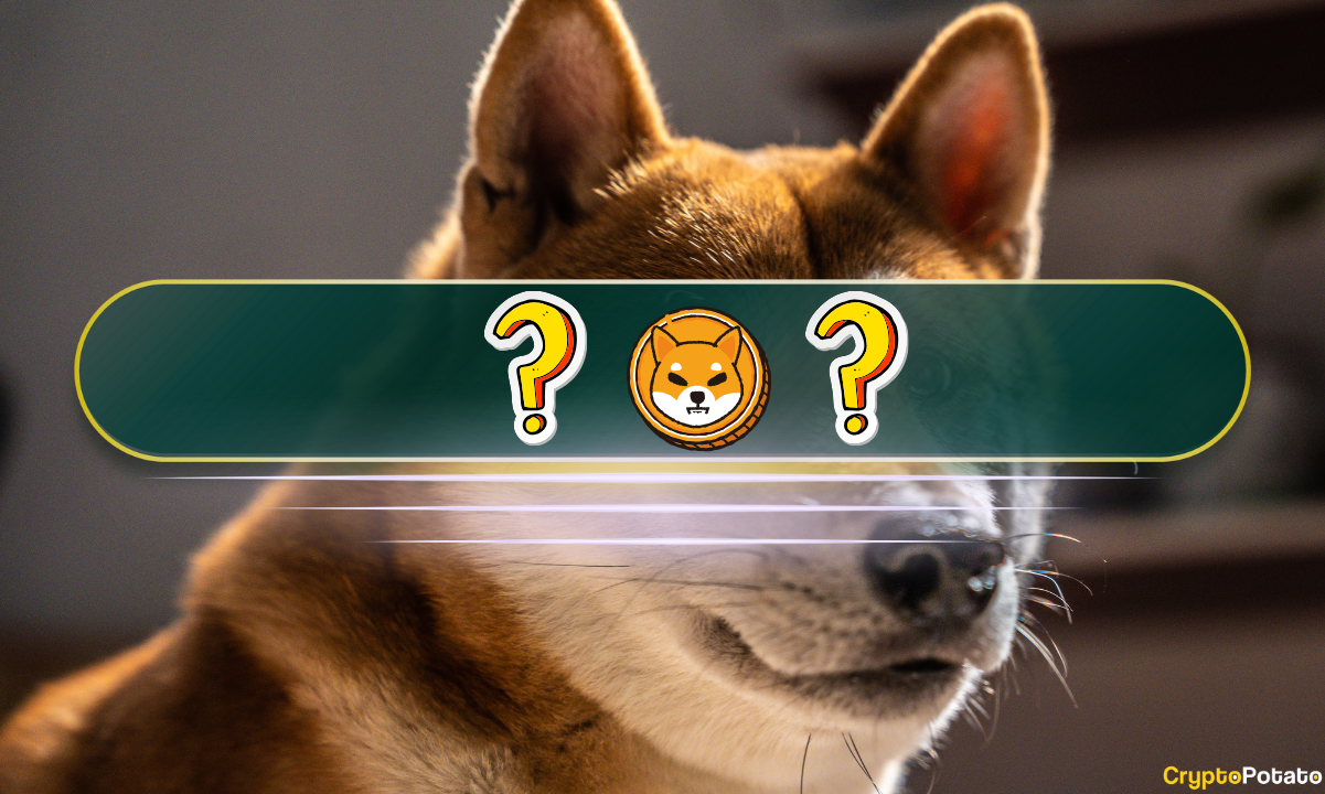 The-best-shiba-inu-(shib)-alternatives-in-2024:-meme-coin-deep-dive