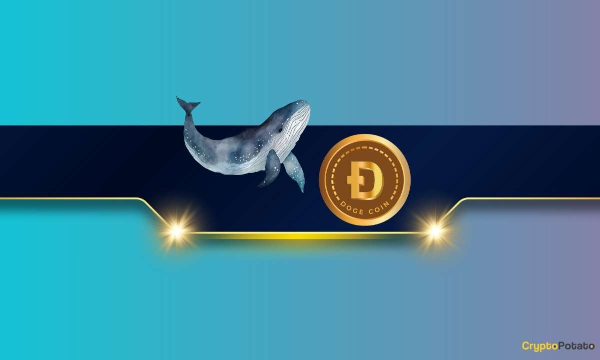 Dogecoin-nears-$0.20-amid-increased-whale-activity:-can-the-doge-price-rally-even-more?