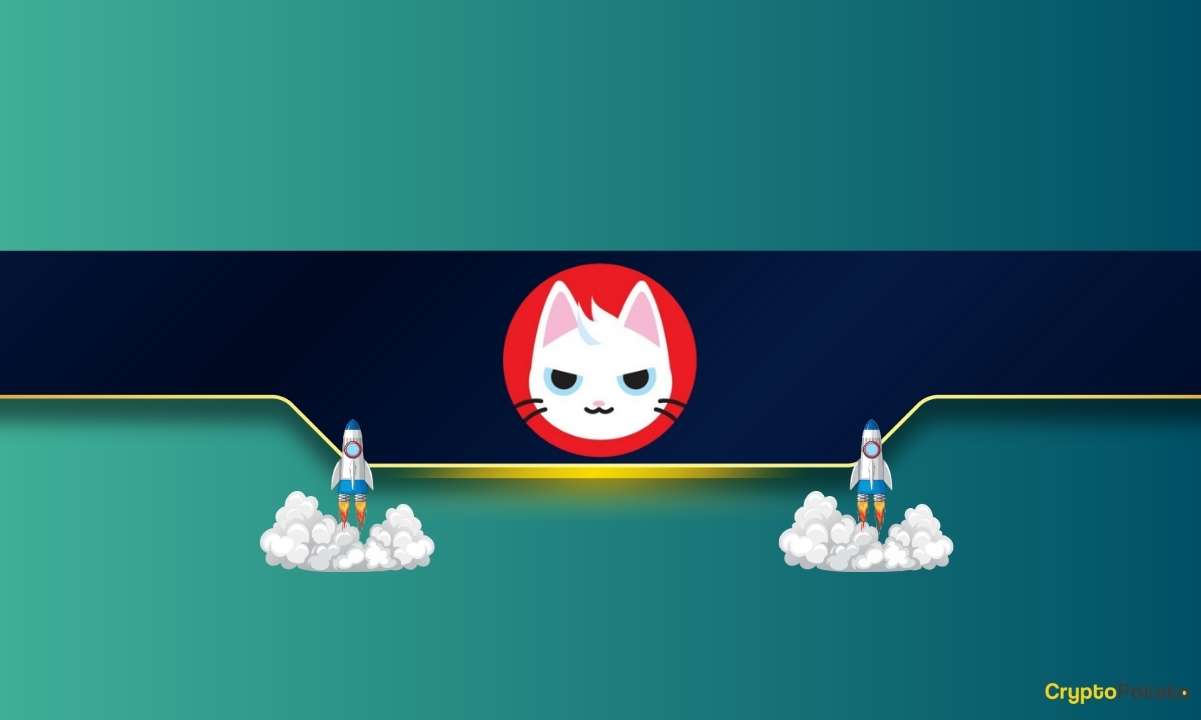 This-trending-solana-meme-coin-soars-40%-daily:-details
