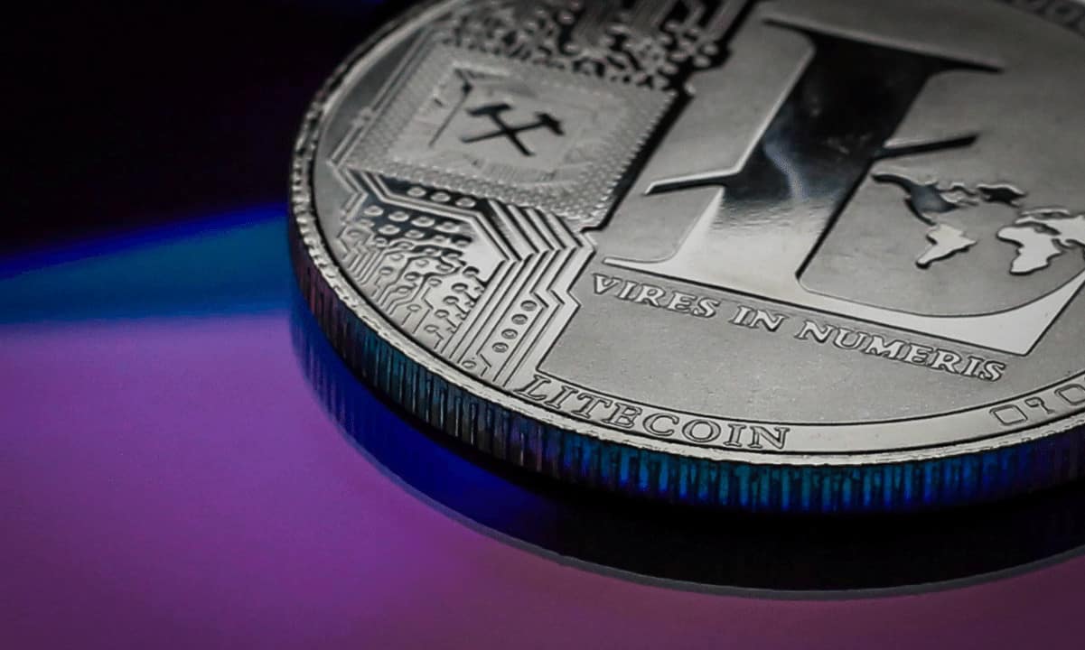 75%-of-litecoin-(ltc)-holders-reap-profits-amidst-market-volatility