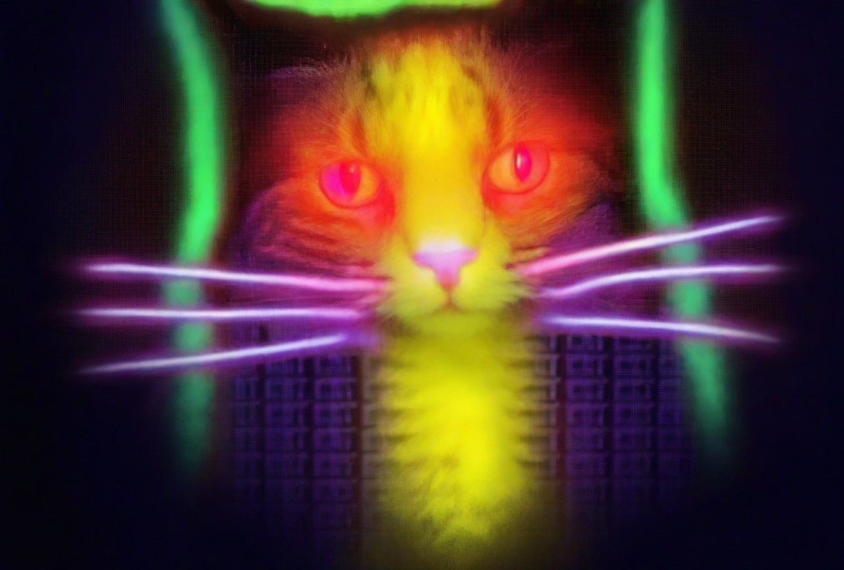 The-technical-architecture-of-the-quantum-cats