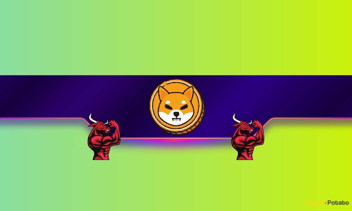 Three-reasons-why-the-shiba-inu-(shib)-price-can-take-off-soon-despite-recent-crashes