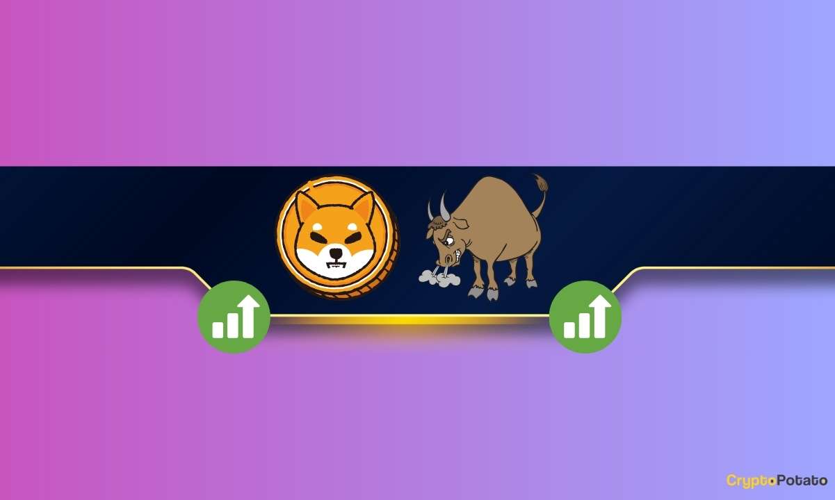 Critical-shiba-inu-metric-spikes-by-50%-amid-shib-price-rally:-details
