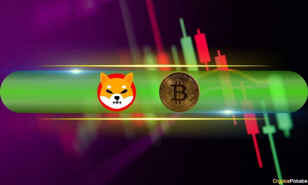 Shiba-inu-(shib)-explodes-18%-daily,-bitcoin-(btc)-taps-$65k-(weekend-watch)