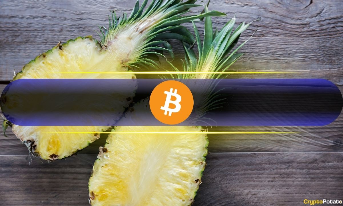 Bitcoin-layer-2-tokens-outperform-btc-post-halving