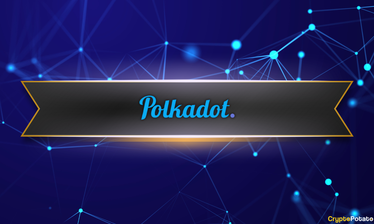 How-to-stake-polkadot-(dot):-the-ultimate-guide