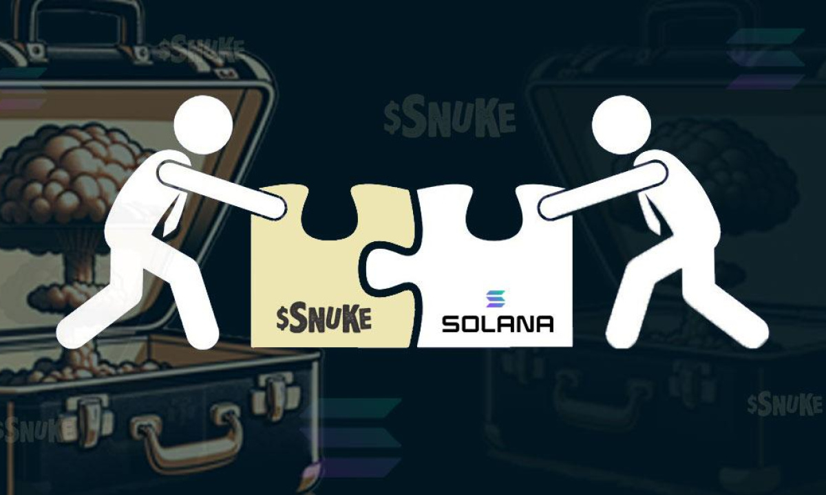 Snuke-meme-coin-launches-presale,-is-this-the-next-solana-meme-coin-to-explode