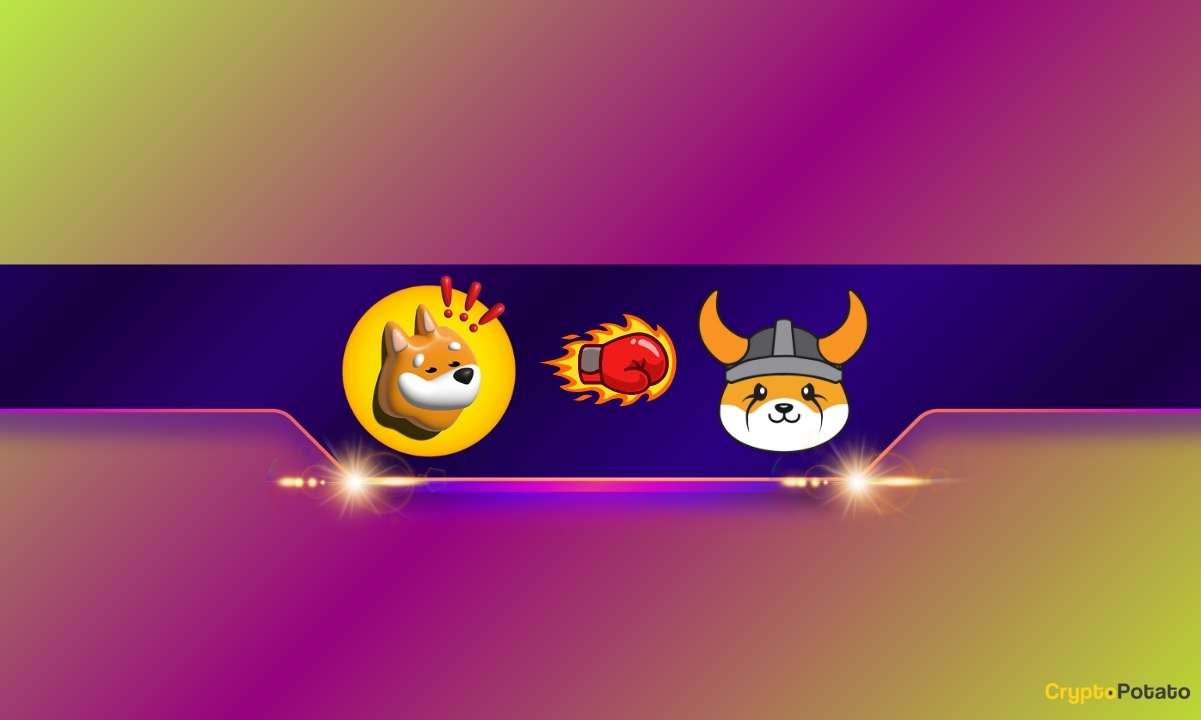 Bonk-inu-(bonk)-flips-floki-inu-(floki)-after-a-55%-surge-in-two-weeks:-details