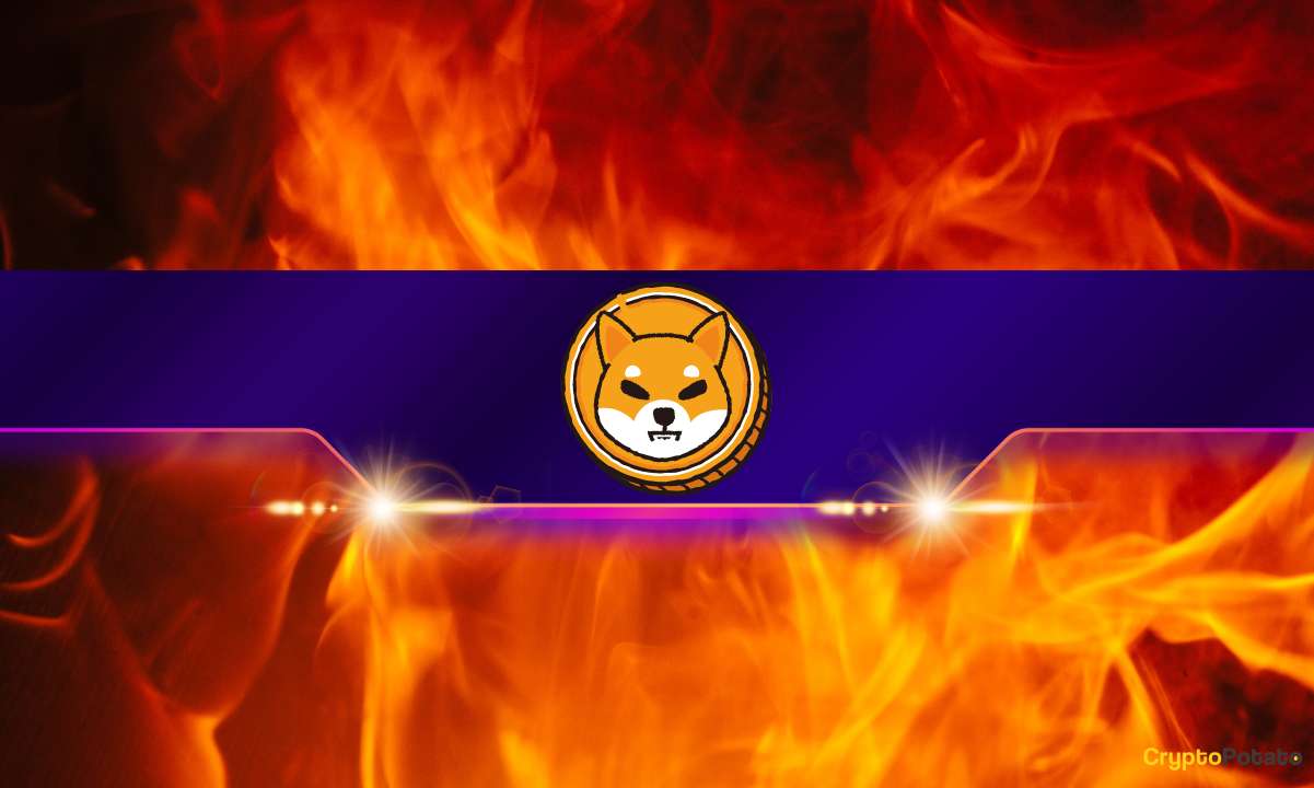 Shiba-inu-(shib)-burn-rate-explodes-by-almost-600%:-details