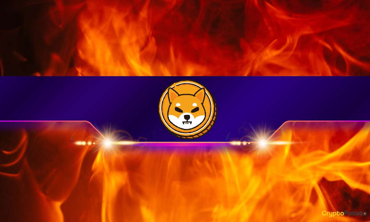 Shiba-inu-(shib)-burn-rate-explodes-by-almost-600%:-details