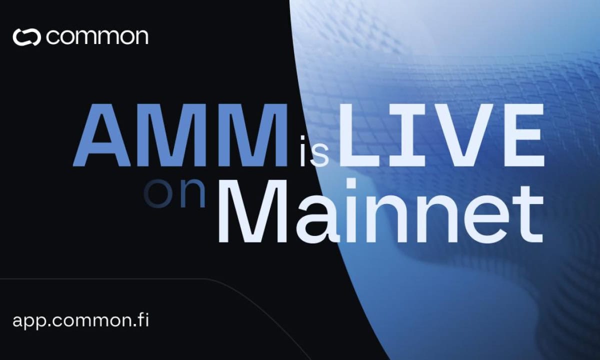 Common-amm-launches-on-aleph-zero:-the-first-step-towards-releasing-the-ultimate-zk-defi-suite