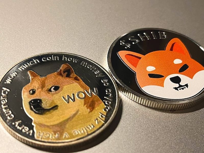 Doge,-shib-spike-after-elon-musk-tweet’s-about-mascot-dog’s-passing