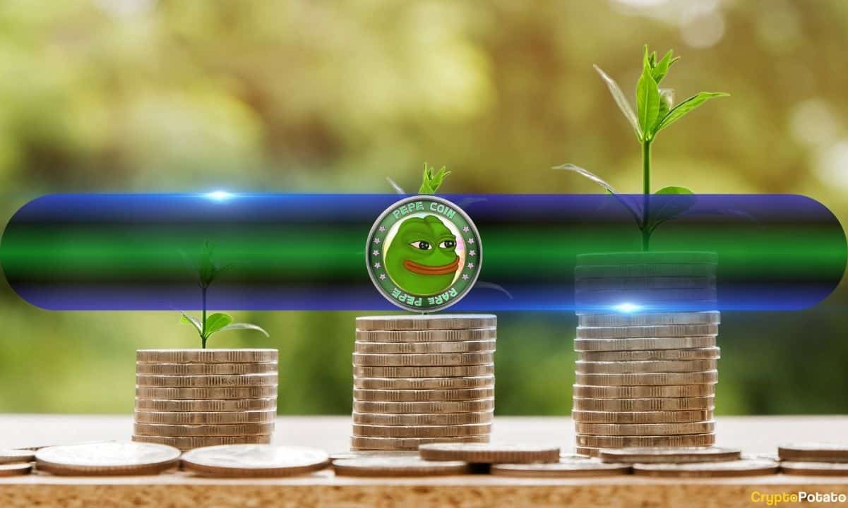 Most-profitable-among-big-meme-coins:-over-96%-of-pepe-holders-in-profit
