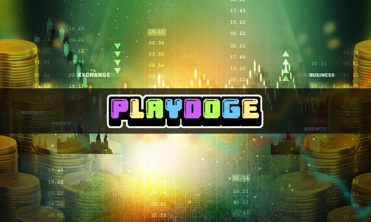 After-memeinator’s-successful-ieo,-could-playdoge-be-the-next-big-meme-coin-presale?