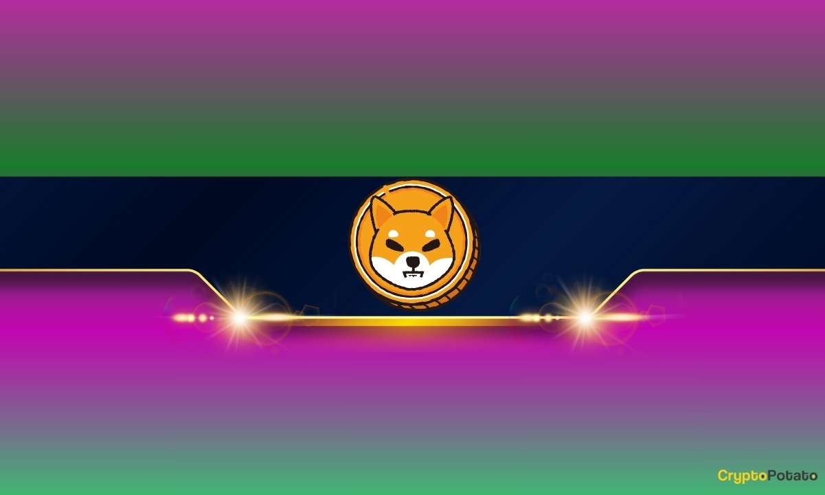 Important-shiba-inu-metric-soars-by-100%-amid-shib-price-rally:-details