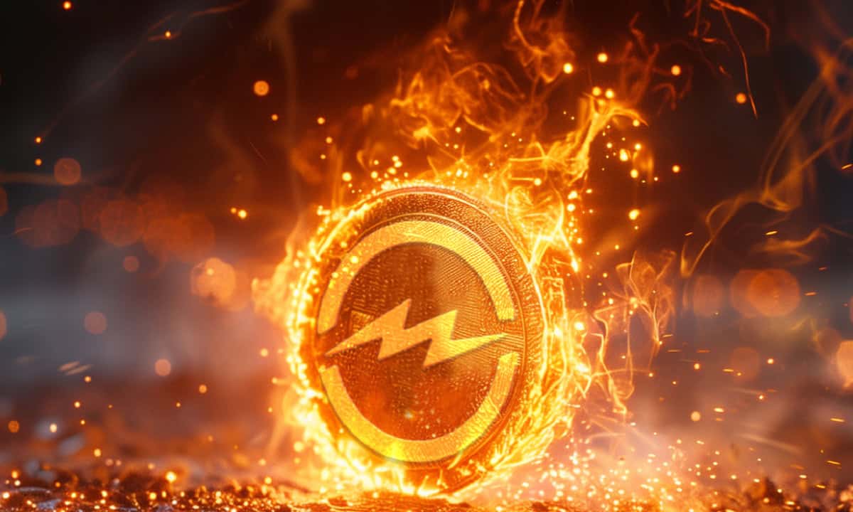 Meter-network-announces-a-major-40%-of-total-$mtrg-supply-burn