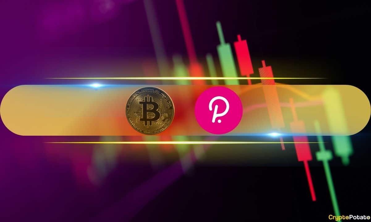 Bitcoin-(btc)-price-shaky-at-$66k,-polkadot-(dot)-defends-$6-(market-watch)