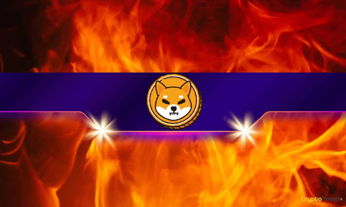 Shiba-inu-burn-rate-skyrockets-by-12,000%-but-shib-price-tanks