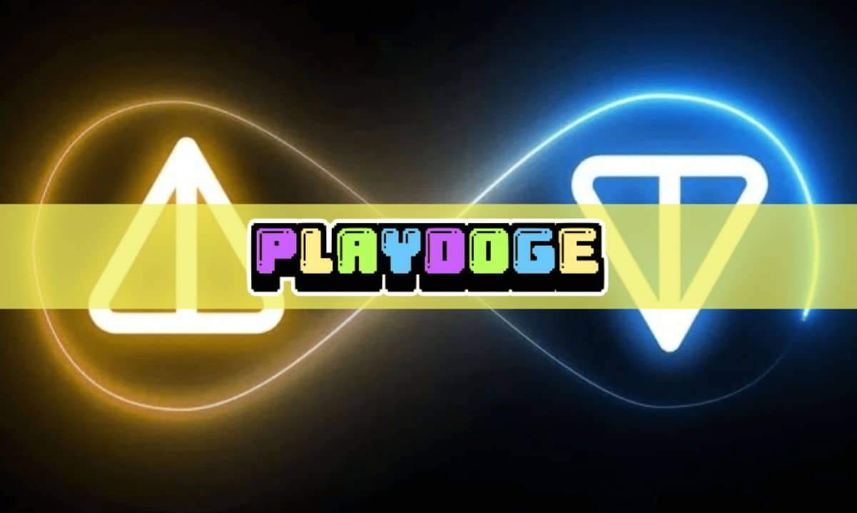 Notcoin-leads-top-crypto-gainers-as-playdoge-could-emerge-as-next-big-p2e-token-contender