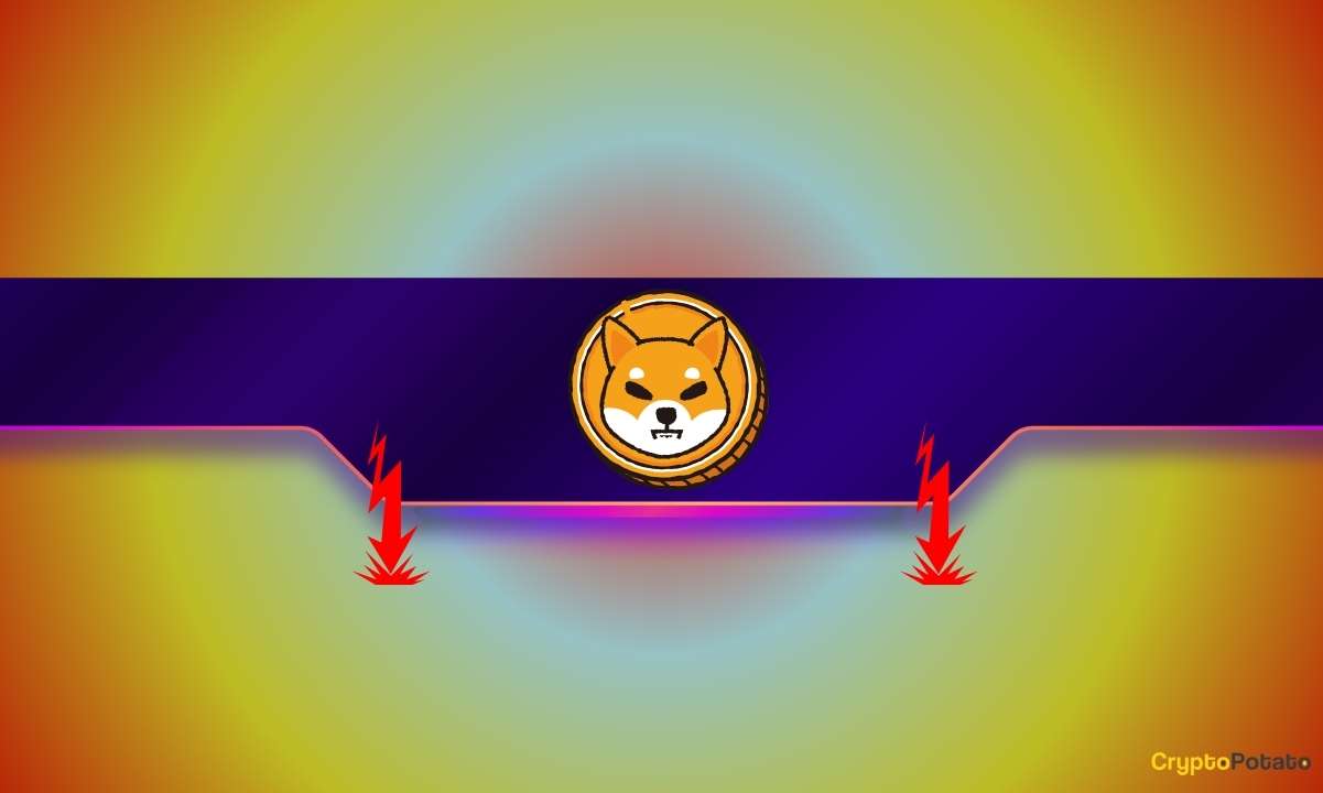Is-the-shib-price-in-danger-of-crashing?-key-shiba-inu-metric-tanks-by-70%:-details