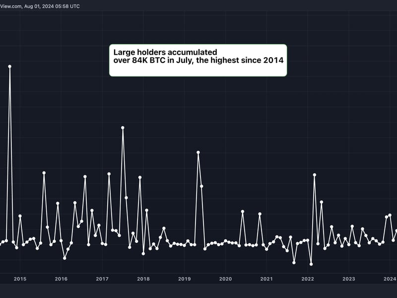 Large-bitcoin-holders-added-$5.4b-in-btc-in-july,-data-show