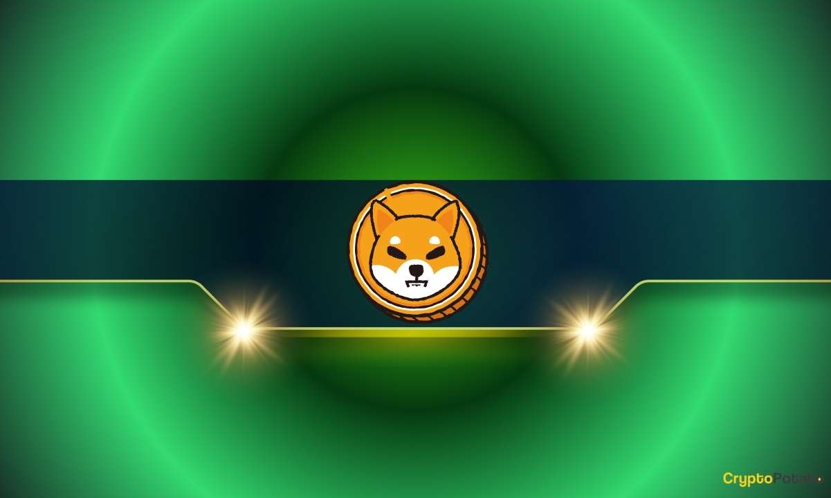 Shiba-inu’s-price-probably-won’t-100x:-but-this-crypto-asset-might