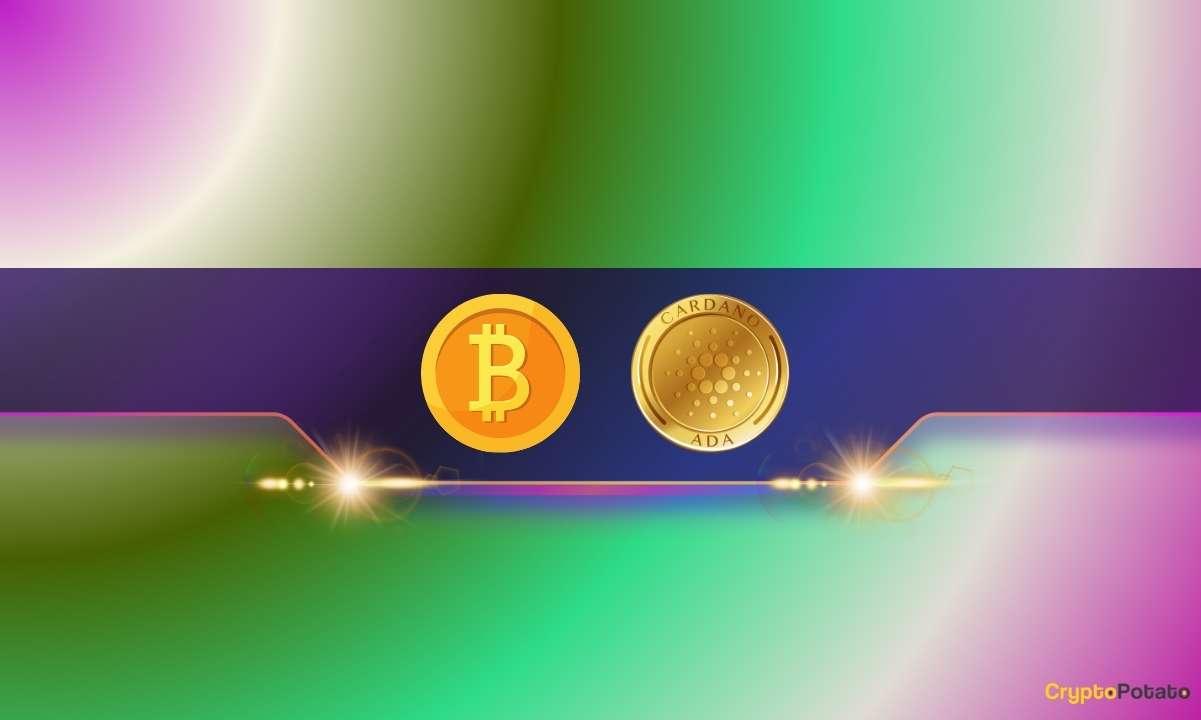 Ada-in,-xrp-out:-these-3-cryptocurrencies-have-the-highest-rise-in-social-volume