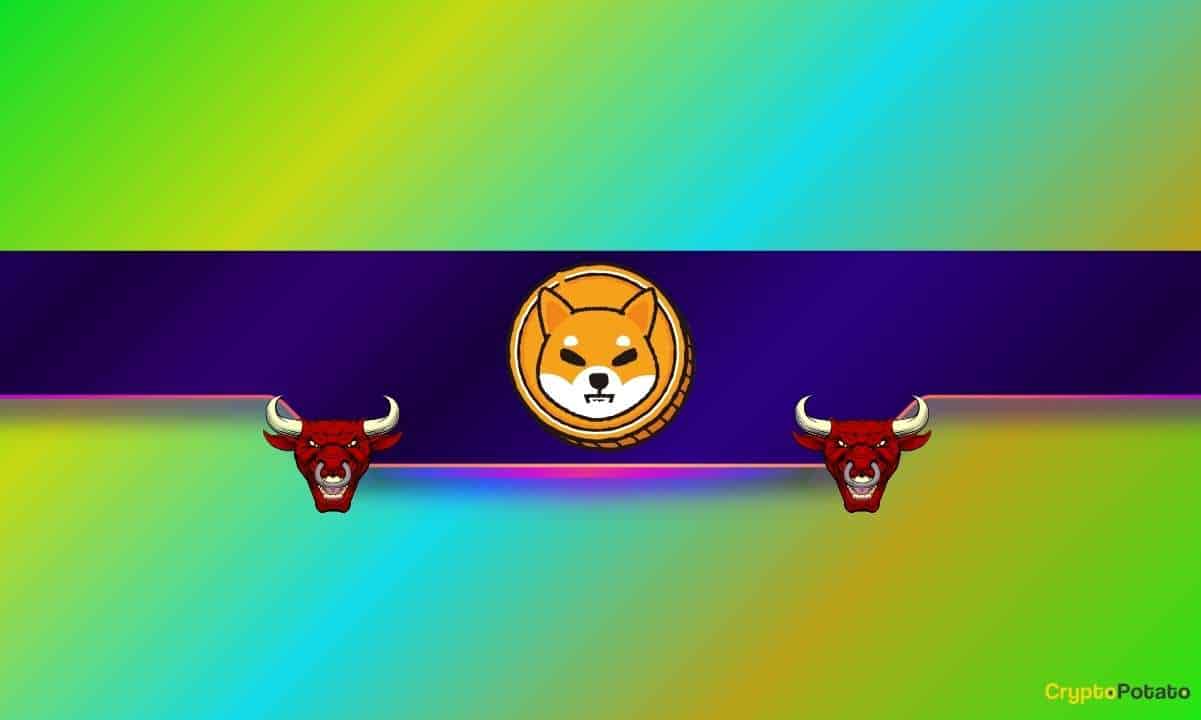 3-reasons-behind-shiba-inu’s-(shib)-30%-monthly-rally:-details