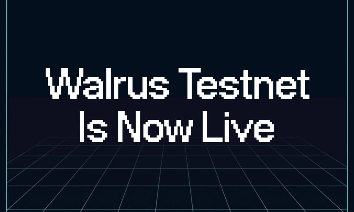 Decentralized-storage-protocol-walrus-launches-public-testnet