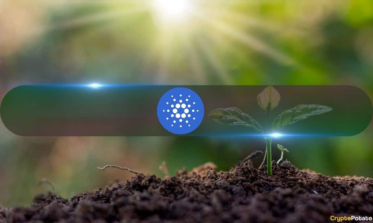 Cardano-(ada)-plunges-below-$1-but-network-growth-indicates-larger-breakout-soon-(itb)