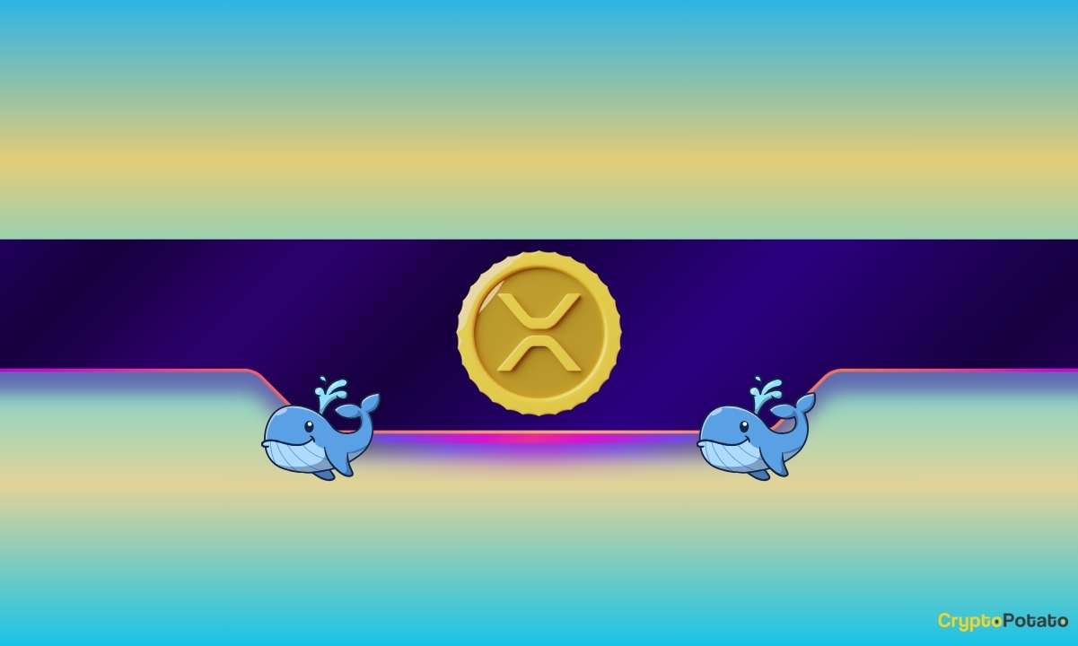 Ripple-whales-go-on-a-buying-spree-again:-is-xrp-ready-for-new-heights?