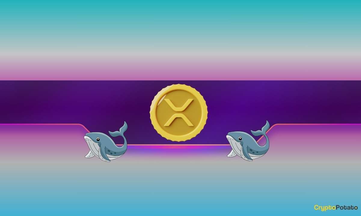 Are-xrp-whales-positioning-for-the-end-of-the-ripple-vs.-sec-lawsuit?