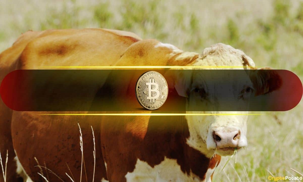 Bitcoin-(btc)-bull-cycle-may-be-over:-cryptoquant-ceo-warns