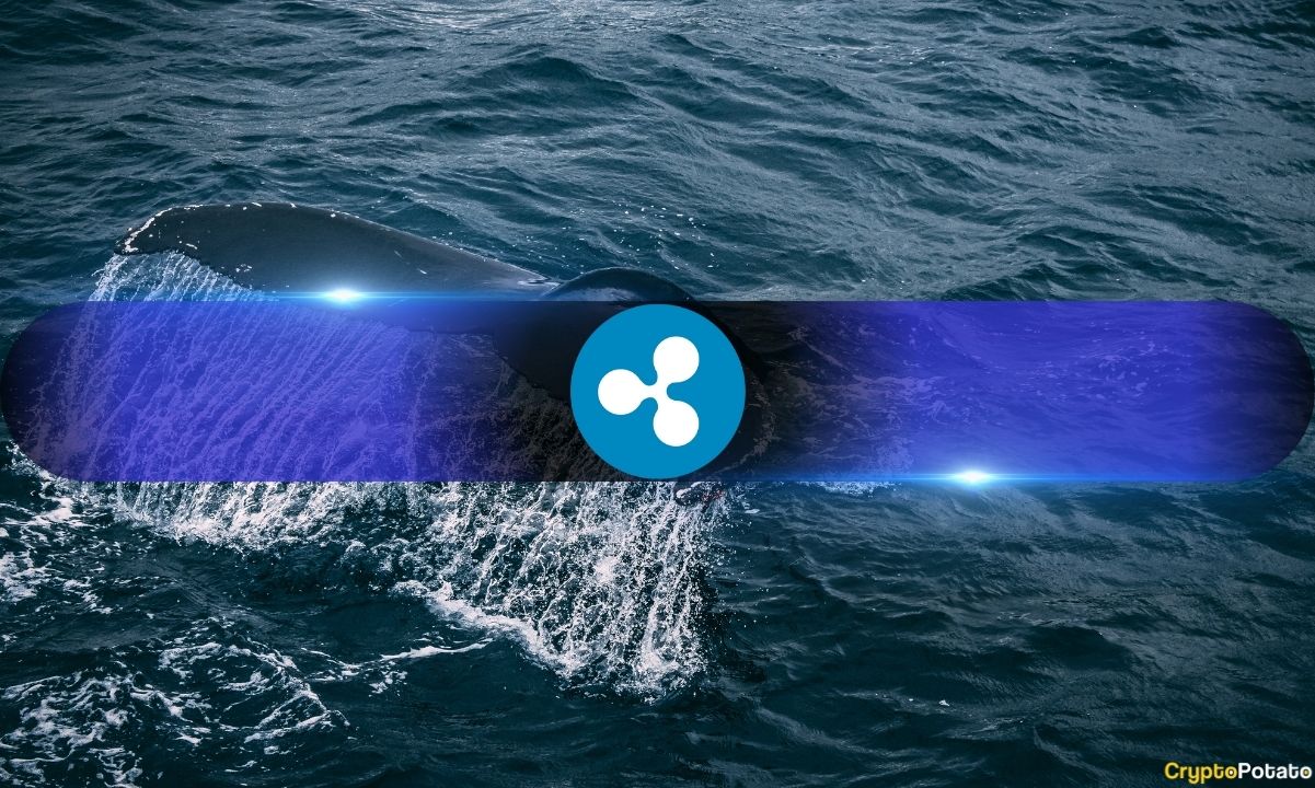 They-knew?-these-wallets-loaded-up-on-xrp-before-ripple’s-sec-win
