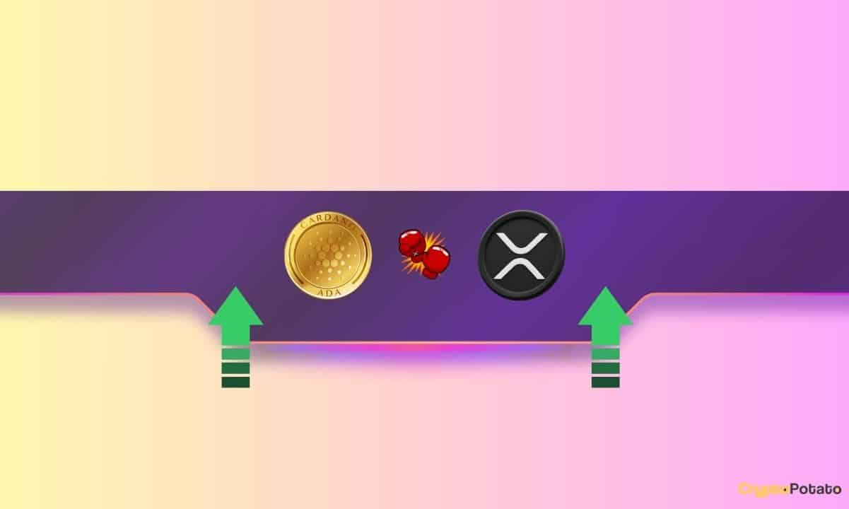 Good-news-for-ripple-(xrp)-and-cardano-(ada)-investors:-details
