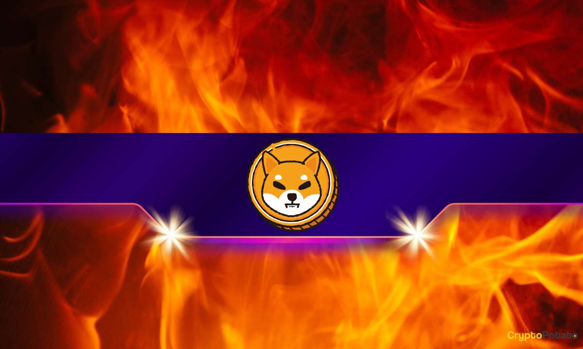 Shib-burn-rate-goes-parabolic-—-what’s-fueling-the-fire?