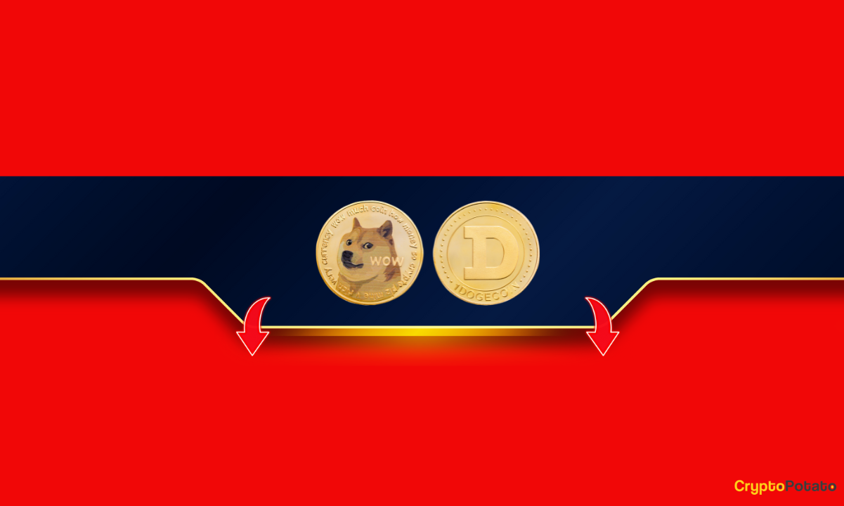 Is-this-the-final-chapter-for-dogecoin’s-bull-run?-assessing-musk’s-recent-comments