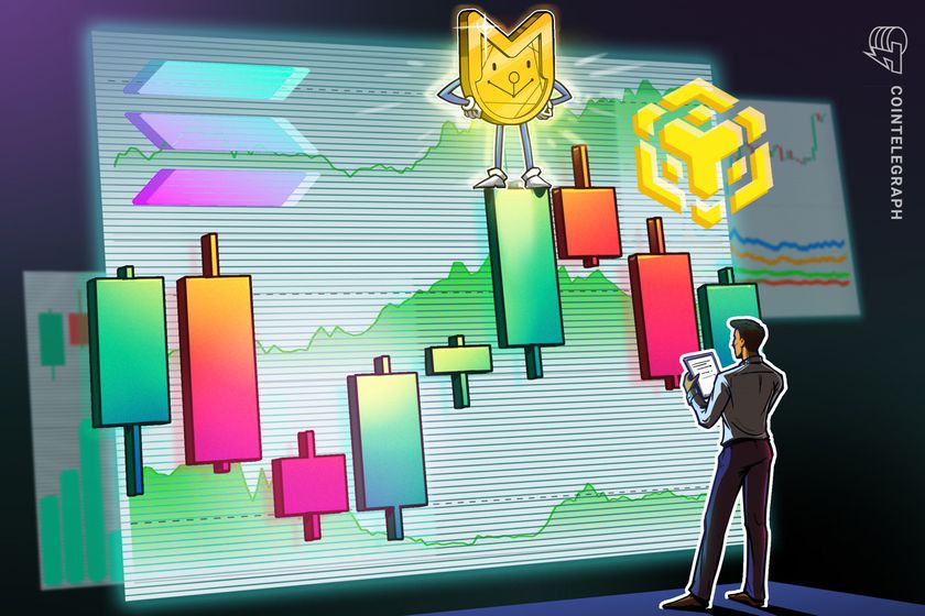Bnb-chain-catches-memecoin-wave-as-solana-wipes-out