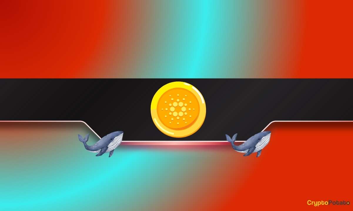 Disturbing-news-for-cardano-(ada)-and-chainlink-(link)-investors:-details