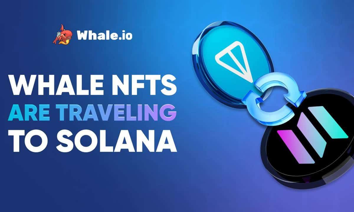 Whale-nft-bridge-goes-live:-ton-to-solana-migration-launches-on-bridgemedaddy.com