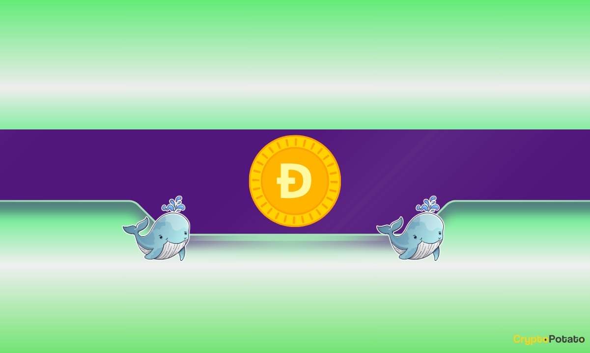 800,000,000-doge-bought-in-2-days:-what-are-dogecoin-whales-preparing-for?