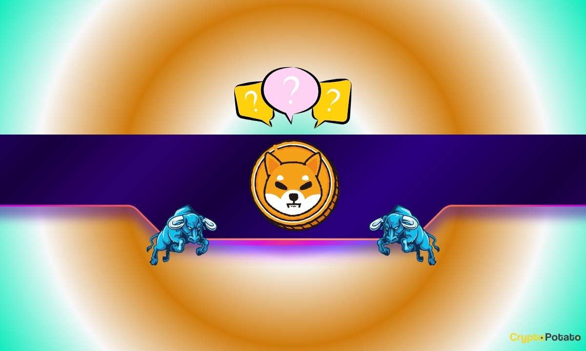 Shiba-inu-(shib)-eyes-a-major-rebound-–-top-predictions-revealed