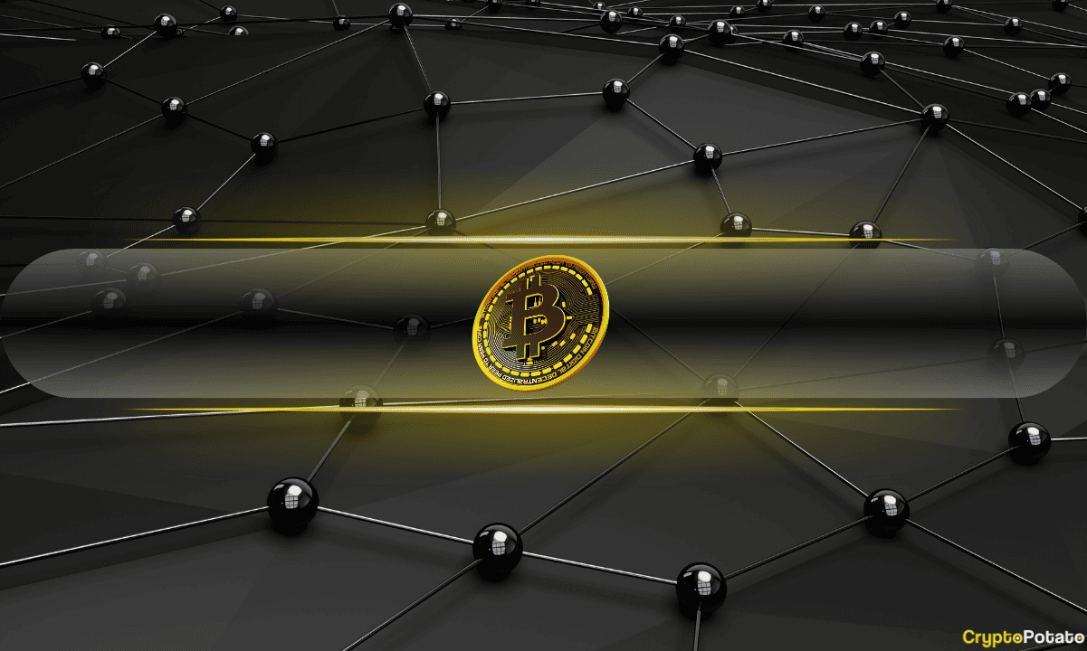 Trump’s-crypto-advisor-says-there’s-a-‘space-race’-to-build-a-bitcoin-reserve