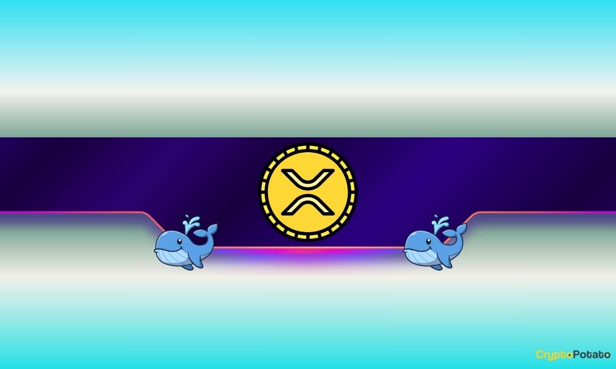 900,000,000-xrp-bought-in-a-month:-what-do-ripple-whales-know?