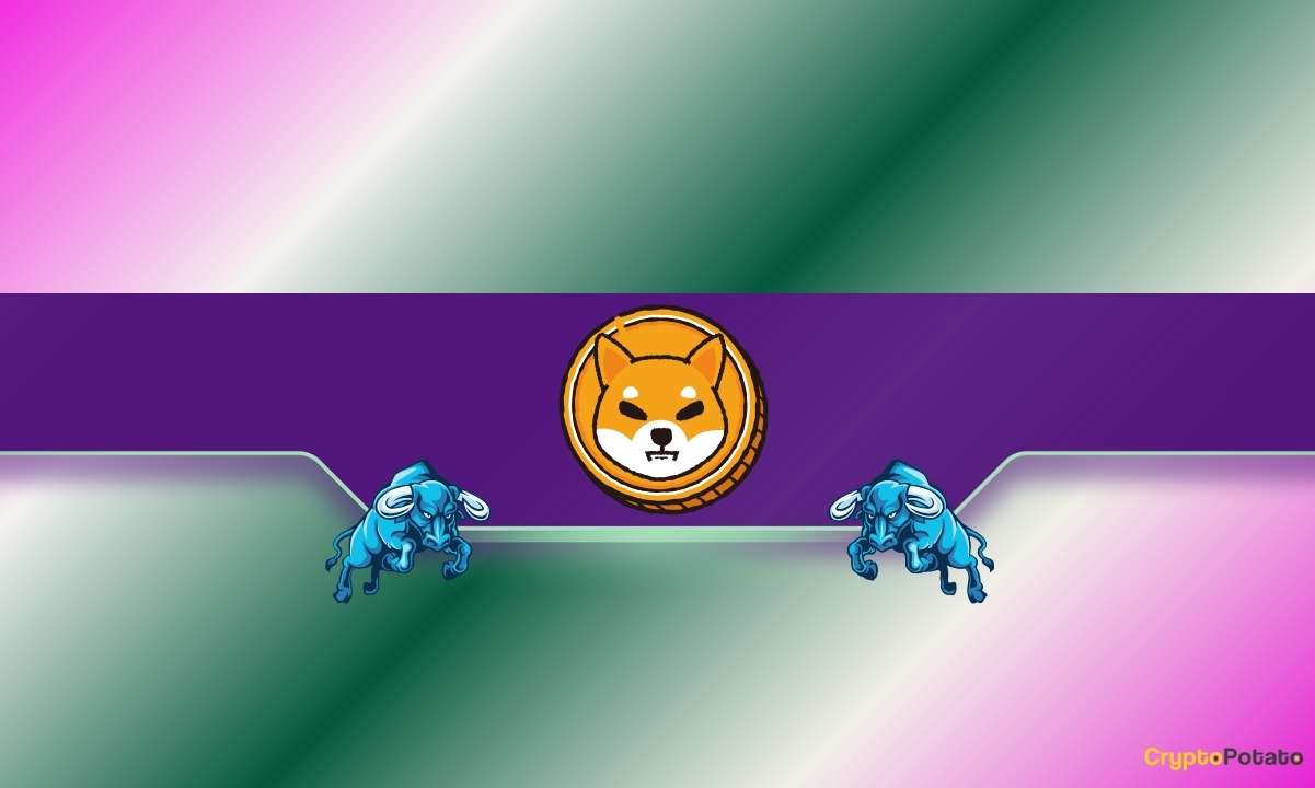 3-reasons-why-shiba-inu-(shib)-could-be-on-the-verge-of-a-price-rally