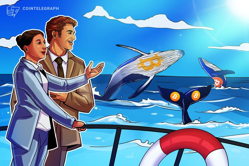 Bigger-bitcoin-wallets-are-stacking-while-others-sell:-santiment