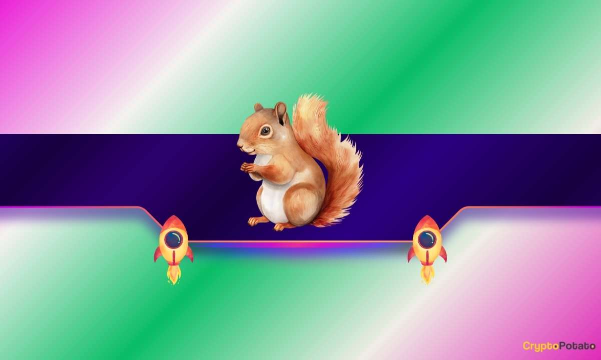 Peanut-the-squirrel-explodes-by-170%-in-a-week:-what’s-next-for-pnut?